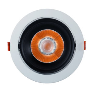 2000-3000K Dimmable Downlight